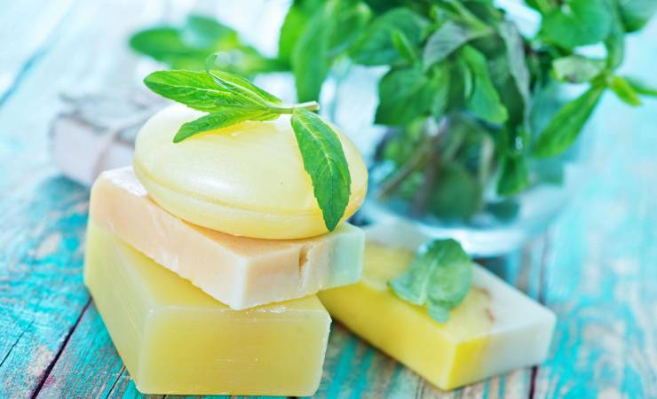 Best Handmade Soap Recipes